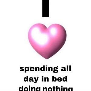 Meet your Posher, Sammy